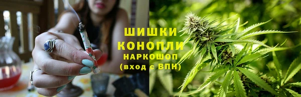 прущие грибы Верхнеуральск