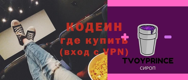 молекула духа Бородино