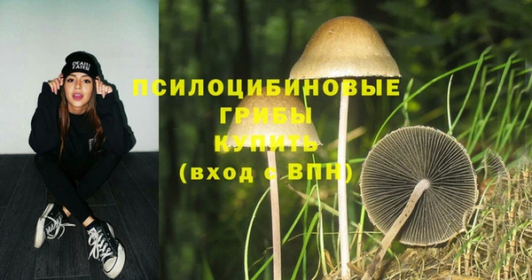 таблы Бронницы