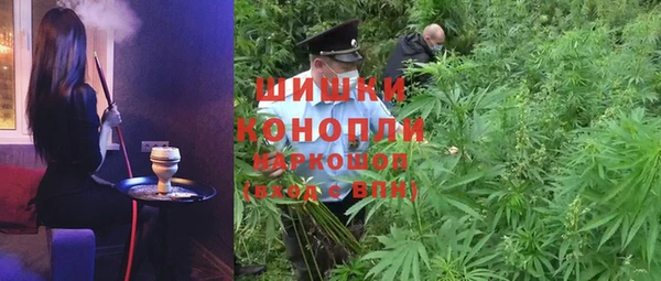 прущие грибы Верхнеуральск