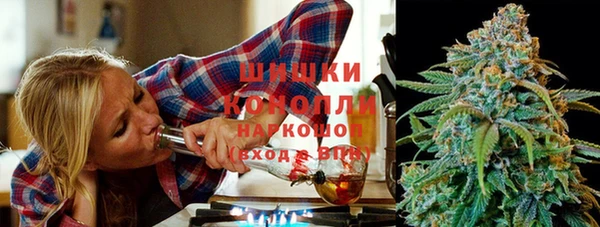 молекула духа Бородино